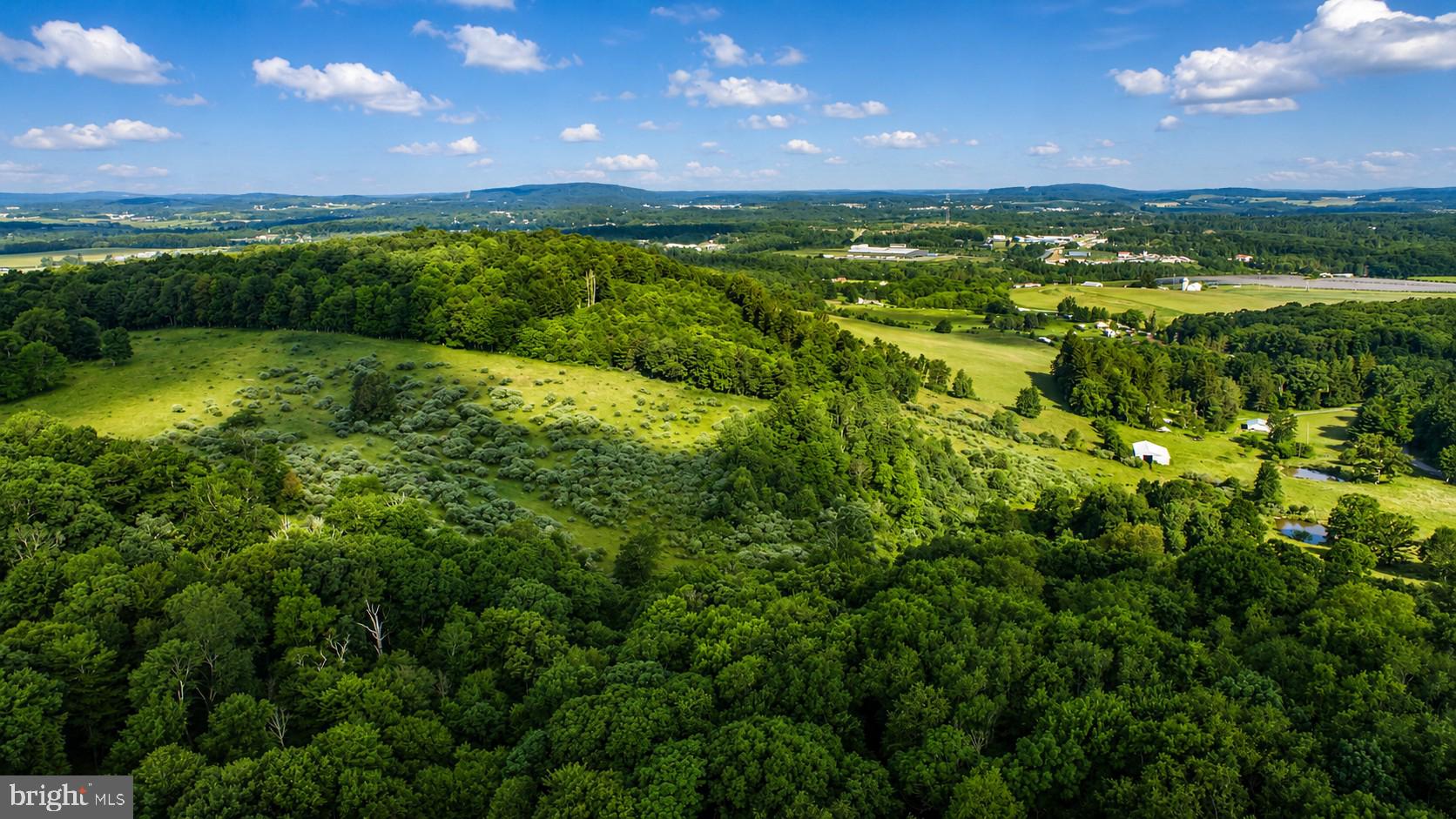 97-acres Lot C 97-acres Road Oakland, MD 21550 - Photo 14 of 21