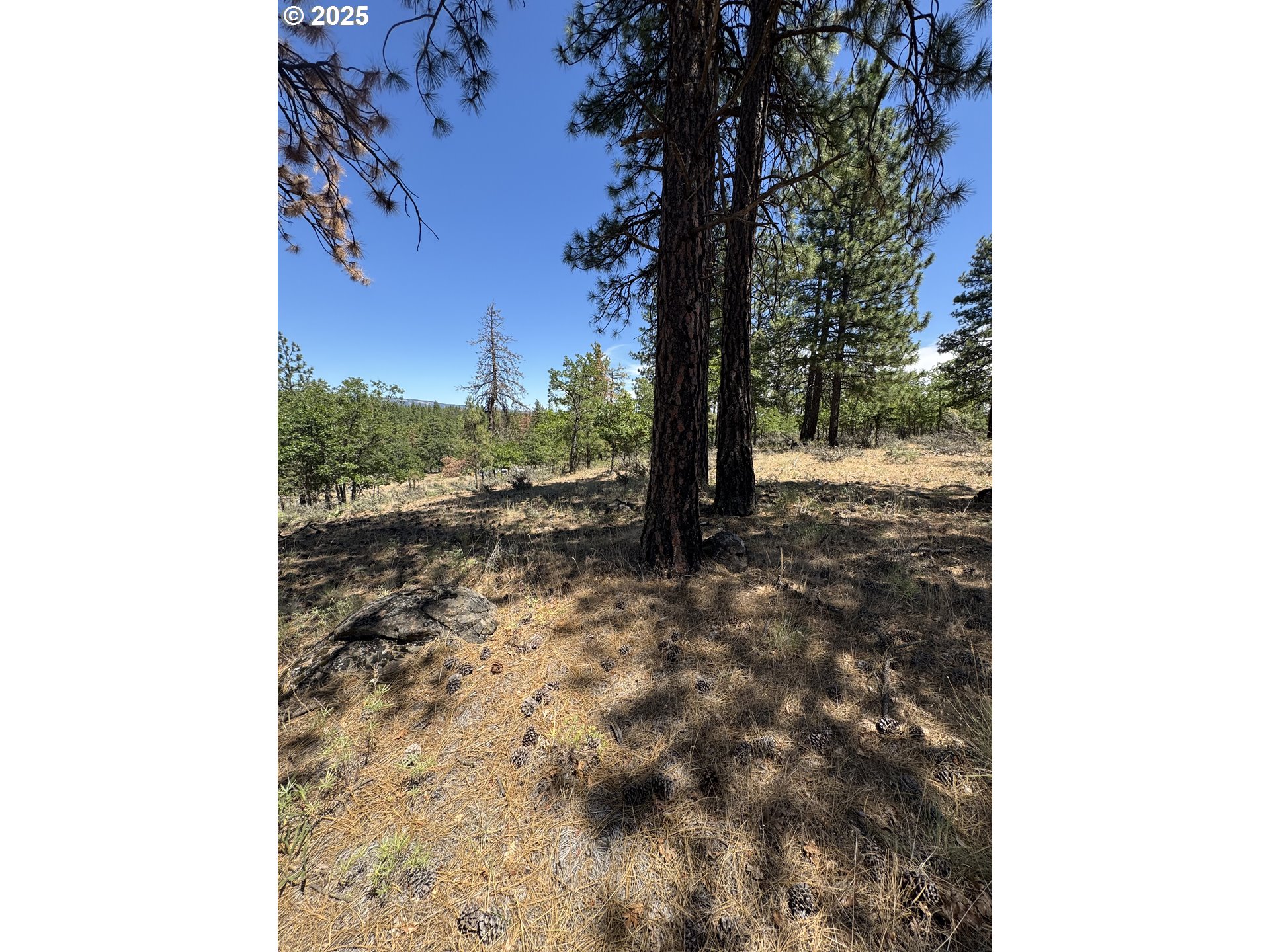Old Mtn Road Goldendale, WA 98620 - Photo 11 of 21 Gallery Image 11