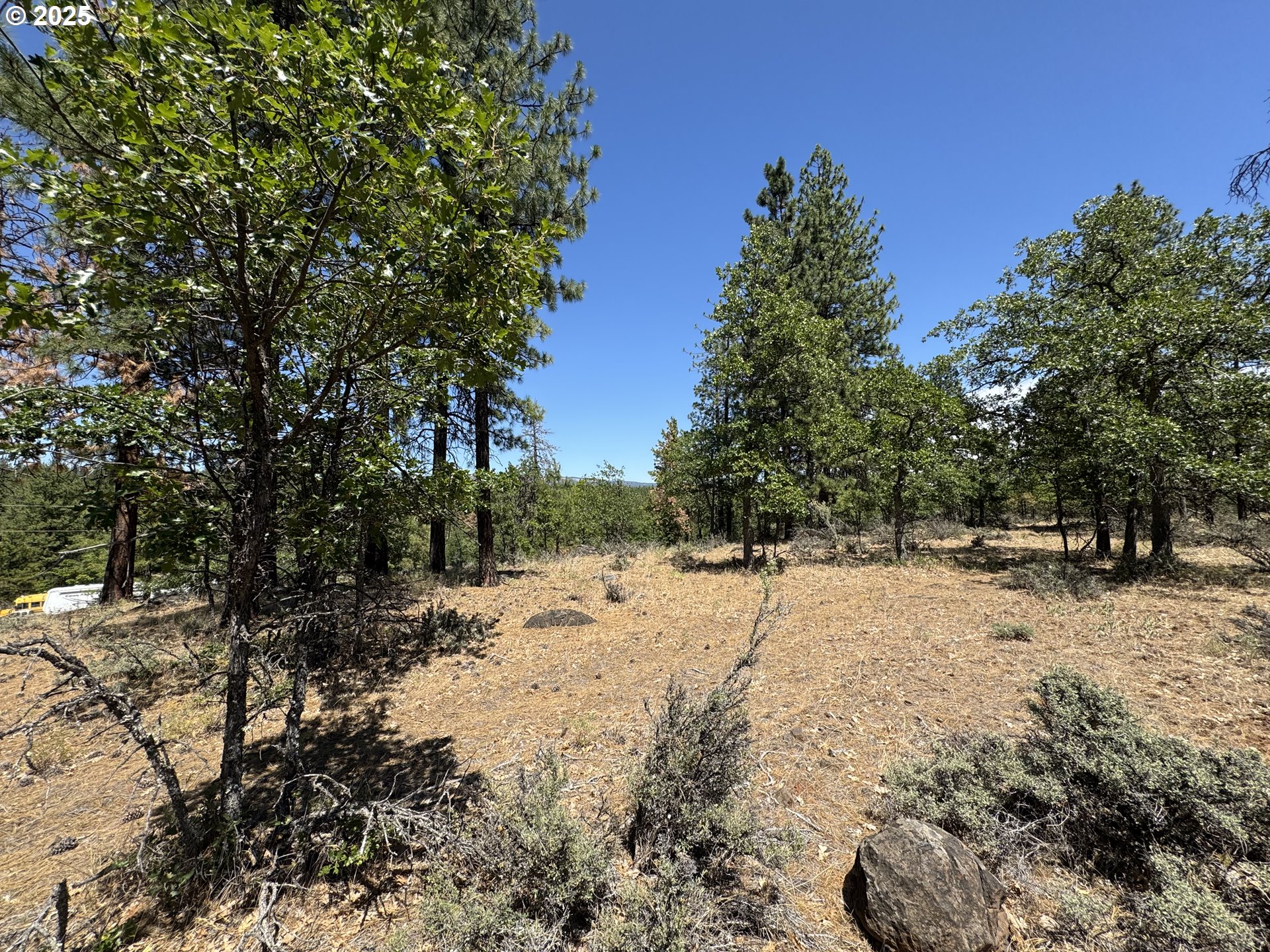 Old Mtn Road Goldendale, WA 98620 - Photo 2 of 21 Gallery Image 2