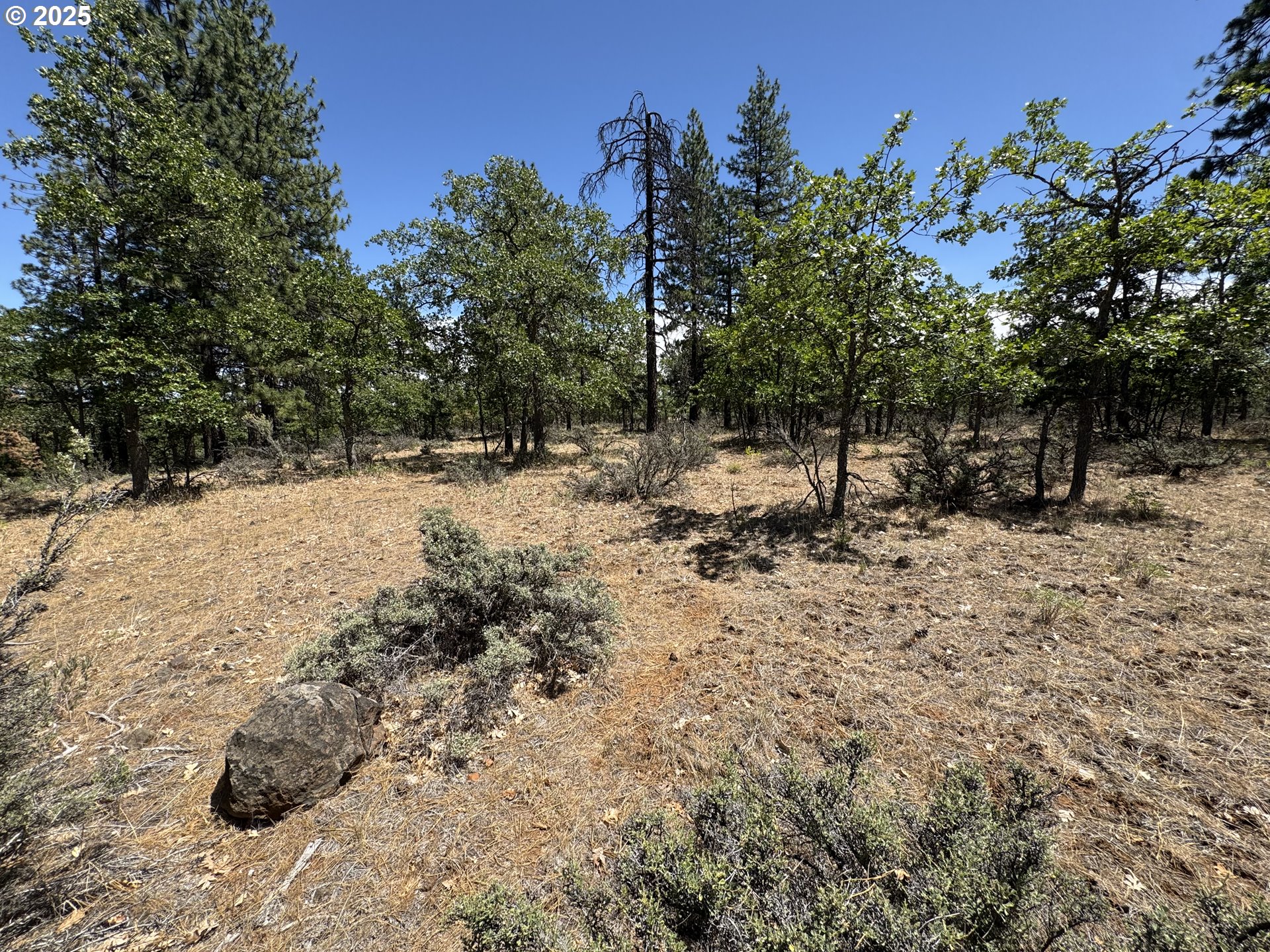 Old Mtn Road Goldendale, WA 98620 - Photo 3 of 21 Gallery Image 3