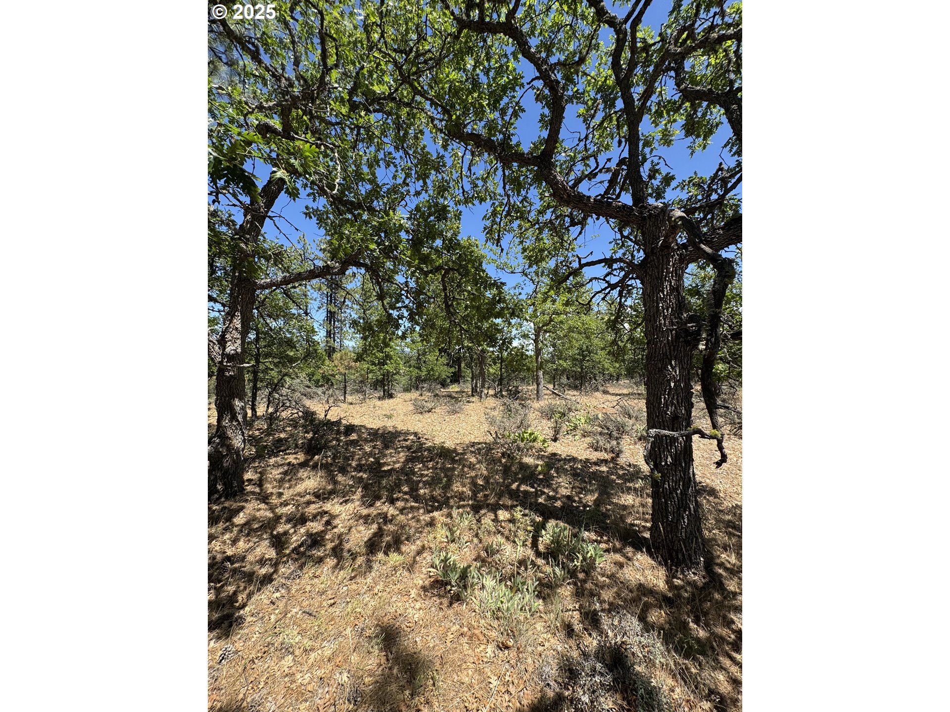 Old Mtn Road Goldendale, WA 98620 - Photo 6 of 21 Gallery Image 6
