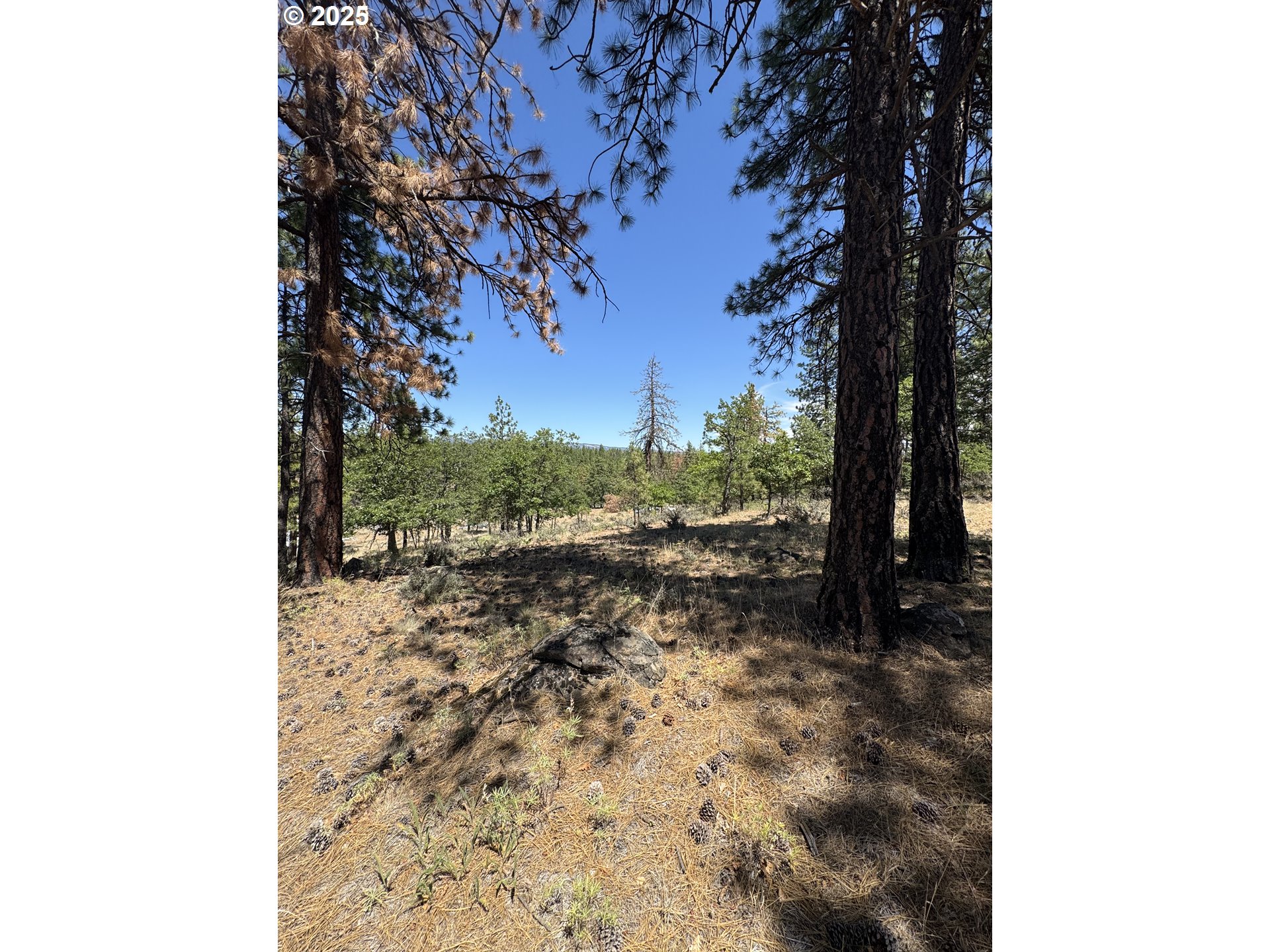 Old Mtn Road Goldendale, WA 98620 - Photo 10 of 21 Gallery Image 10