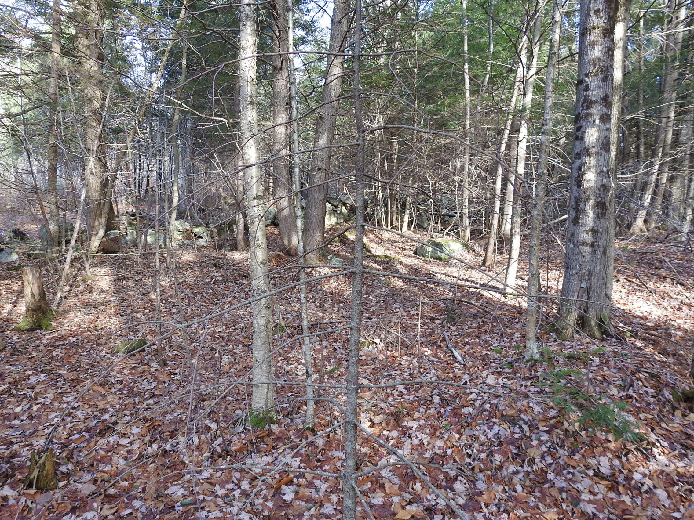 15 Roy Road West Paris, ME 04289 - Photo 8 of 27 DSCN4374