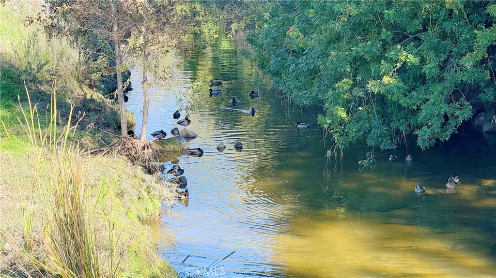 898 Ronda Sevilla, Unit N Laguna Woods, CA 92637 - Photo 18 of 71 Aliso Creek Nearby