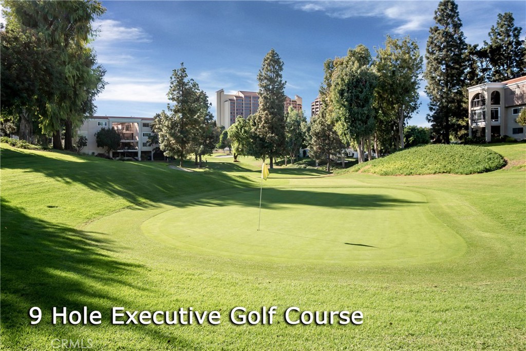 898 Ronda Sevilla, Unit N Laguna Woods, CA 92637 - Photo 51 of 71