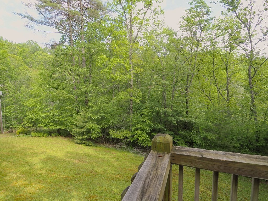 3263 Millstone Road Woodlawn, VA 24381 - Photo 18 of 74 Gallery Image 18