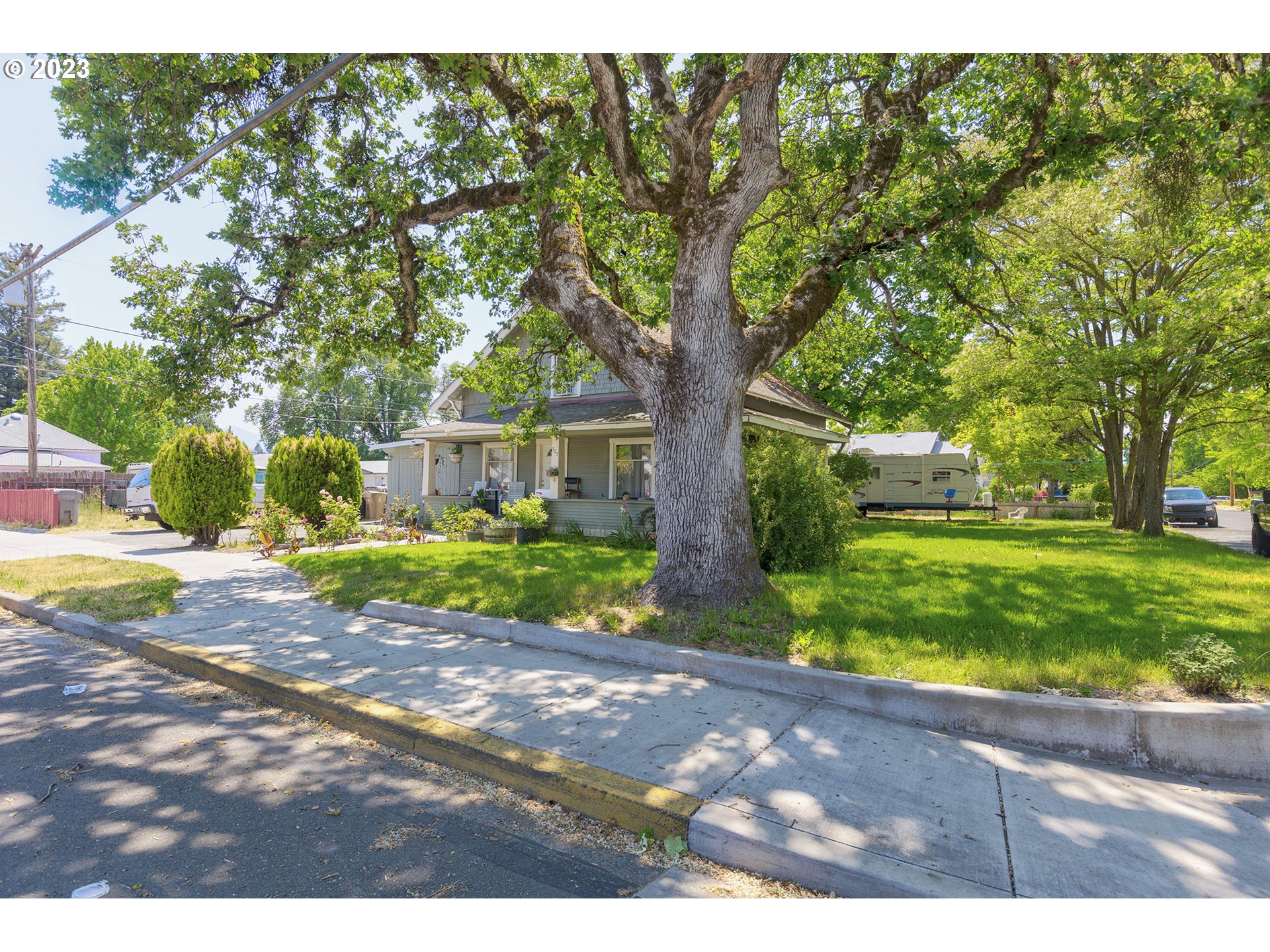 302 Southwest Pine Street Grants Pass, OR 97526 - Photo 3 of 20 a view of a yard with plants and large trees