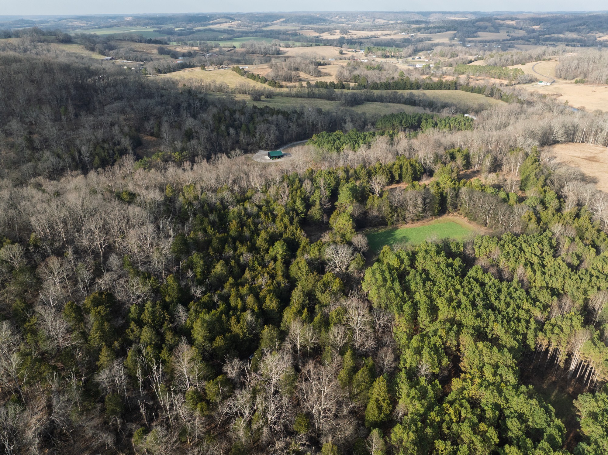 680 Morrell Road Pulaski, TN 38478 - Photo 8 of 71 Gallery Image 8