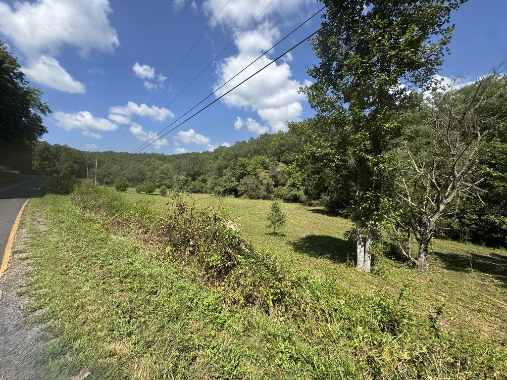 2231 Camp Creek Road Murphy, NC 28906 - Photo 14 of 18 Gallery Image 14