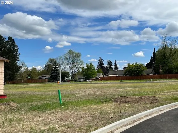 a view of an outdoor space and yard