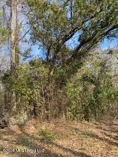 48th Avenue Gulfport, MS 39501 - Photo 1 of 3 48th ave