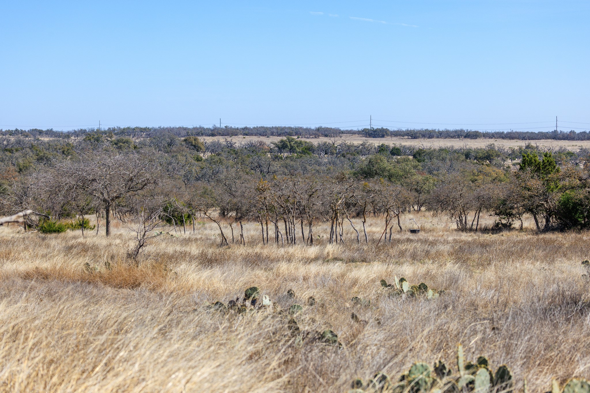 2020 Wendel Road Harper, TX 78631 - Photo 40 of 40 View of nature with rural landscape