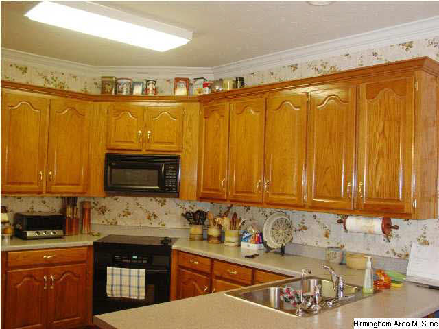 361 County Line Road Oxford, AL 36203 - Photo 8 of 27