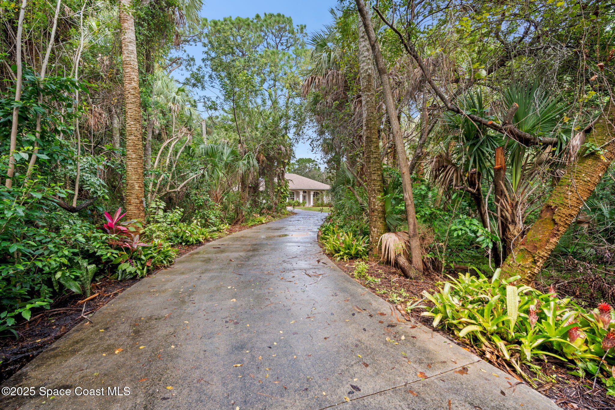 7635 Windover Way Titusville, FL 32780 - Photo 2 of 36 a picture of plants