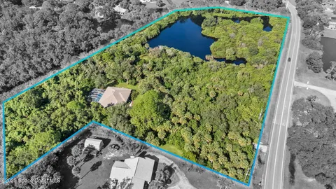 a view of a garden with plants