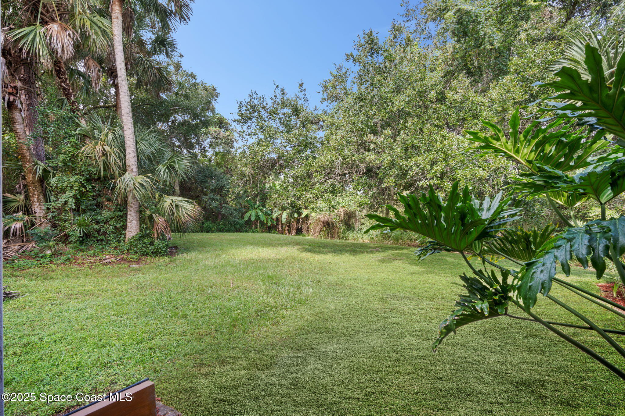 7635 Windover Way Titusville, FL 32780 - Photo 32 of 36 a view of yard with green space