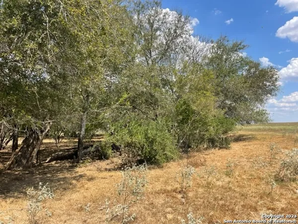 $189,000 | 1039 County Road 232, Floresville, TX 78114
