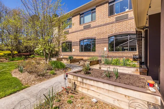 a view of backyard with tree