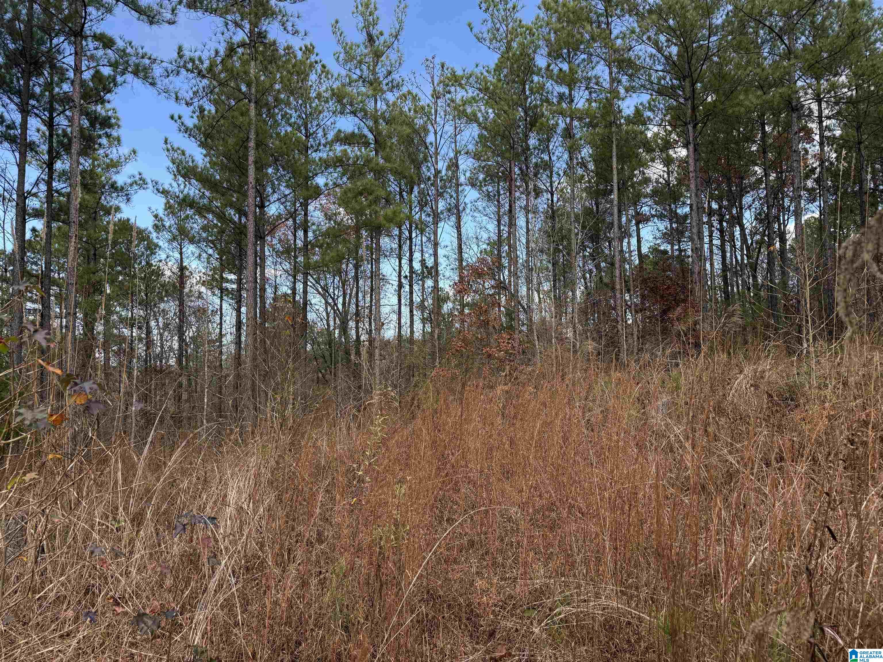680 Sweet Apple Road, Unit 1 Pell City, AL 35128 - Photo 4 of 7