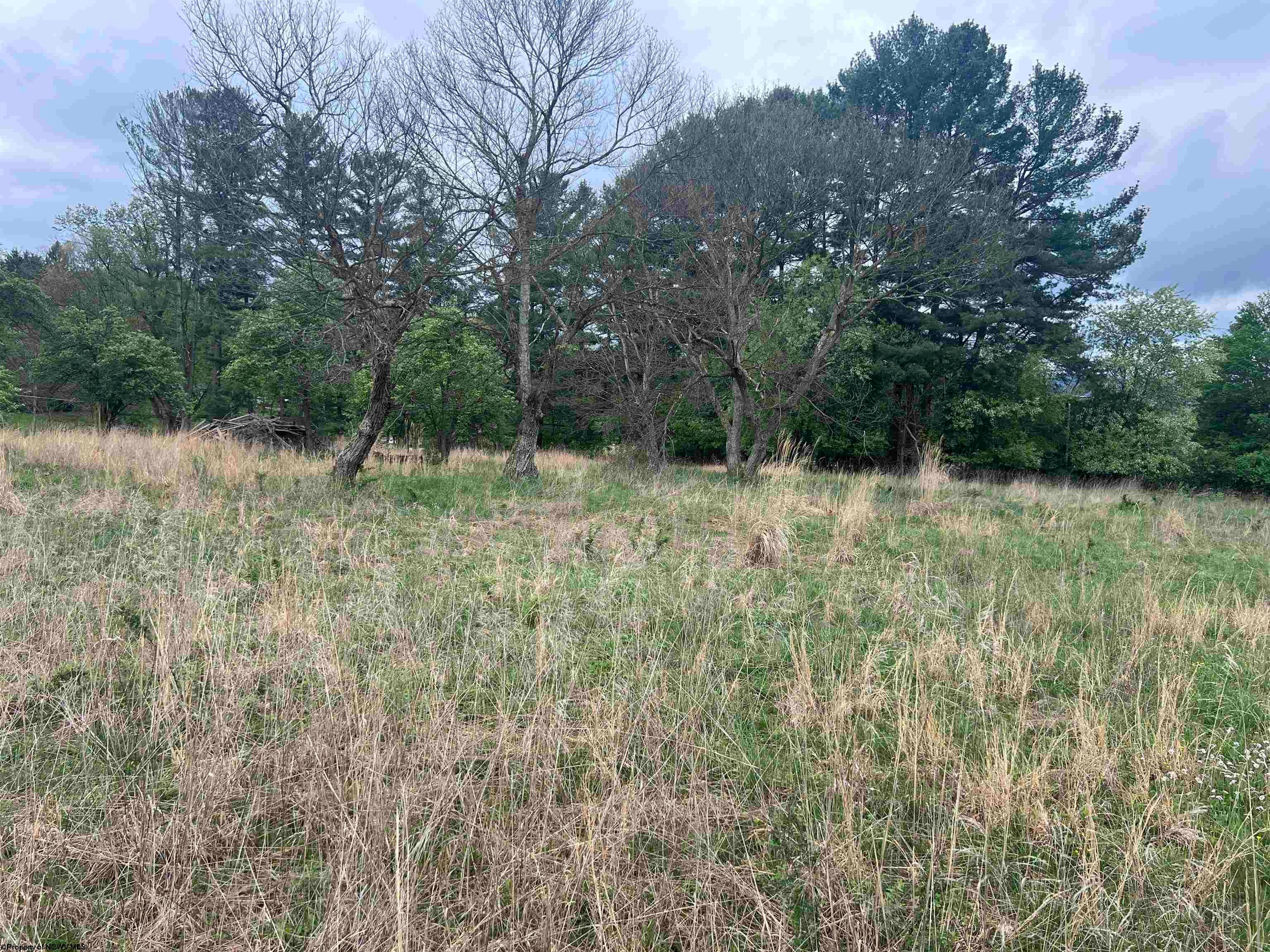 Tbd Chenoweth Creek Road Elkins, WV 26241 - Photo 10 of 11 Gallery Image 10