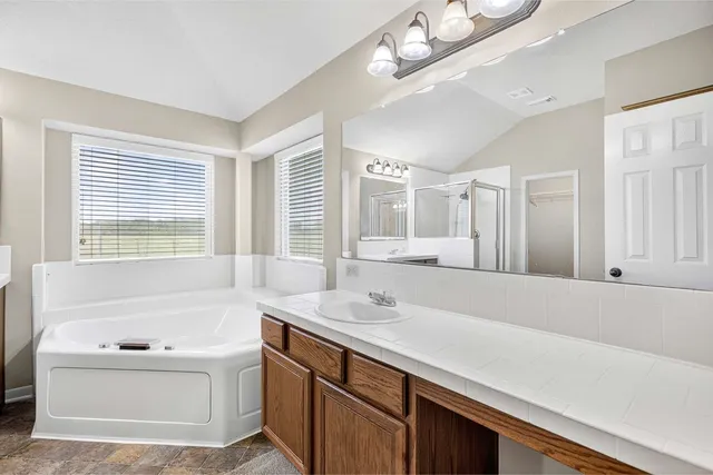 a bathroom with a sink a large mirror and a bathtub