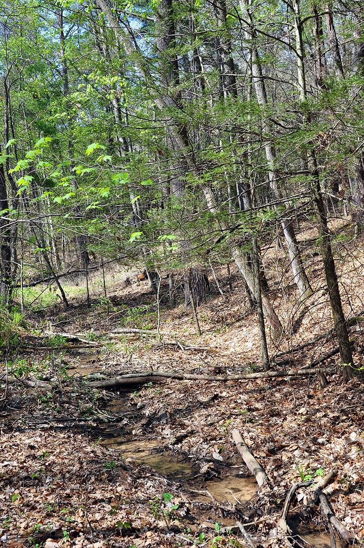 100 Baker Mountain Road Union, WV 24983 - Photo 36 of 52 Gallery Image 36