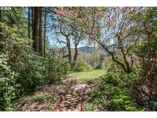 a view of a yard with plants and large trees