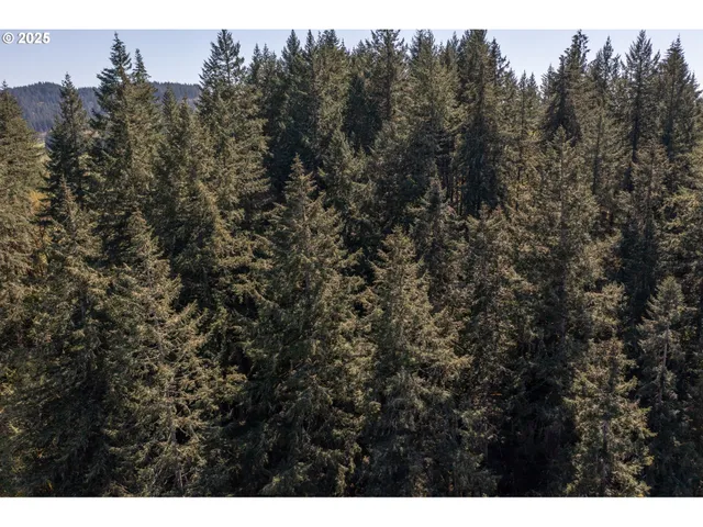 a view of a city with lush green forest