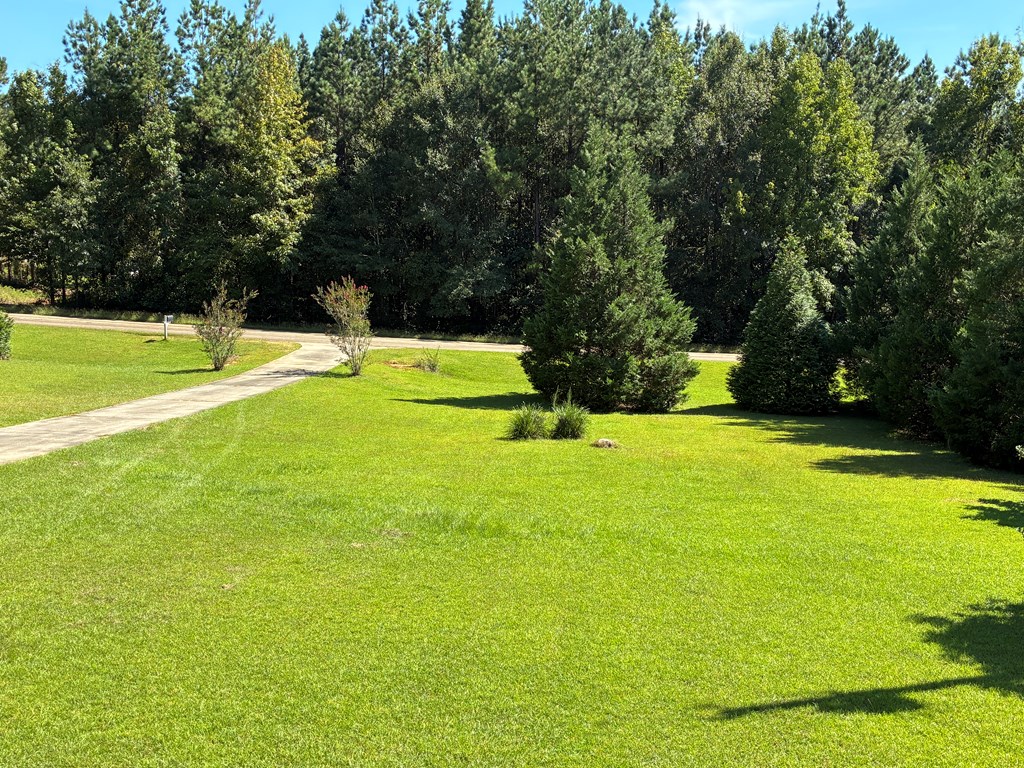 1602 County Road 50 Abbeville, AL 36310 - Photo 8 of 61