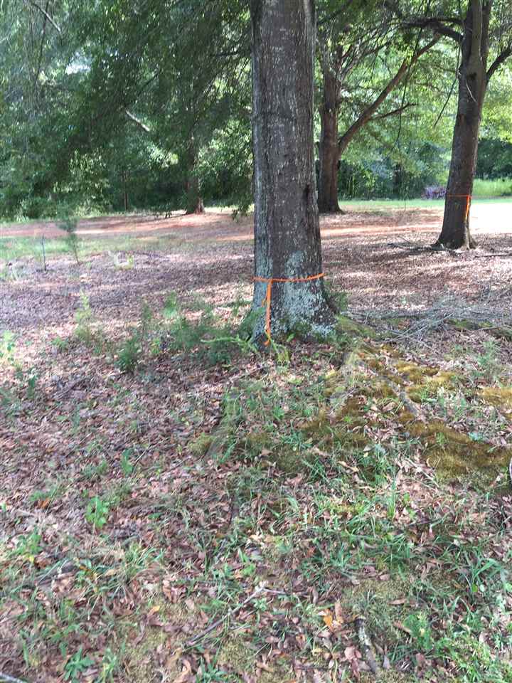 112 State Rd S-42-8233 Inman, SC 29349 - Photo 4 of 9