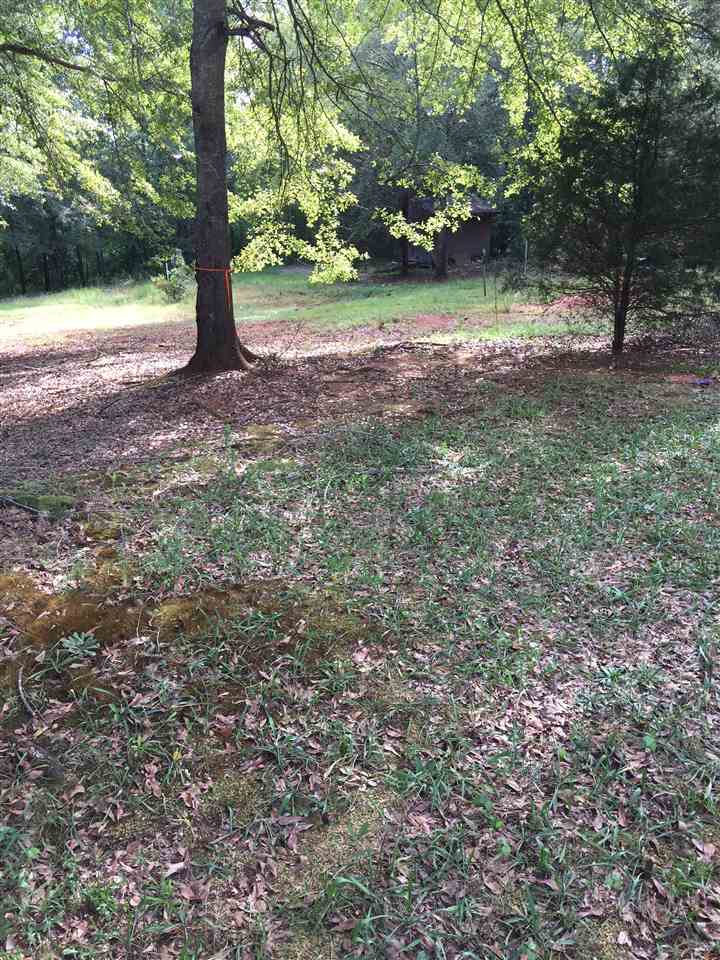 112 State Rd S-42-8233 Inman, SC 29349 - Photo 5 of 9