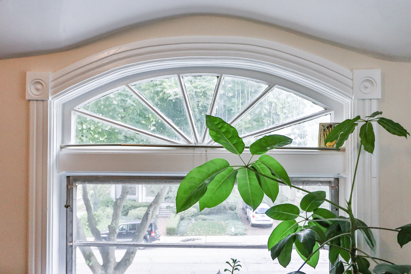 15 Rugby Place Elgin, IL 60120 - Photo 17 of 24 a picture of a window