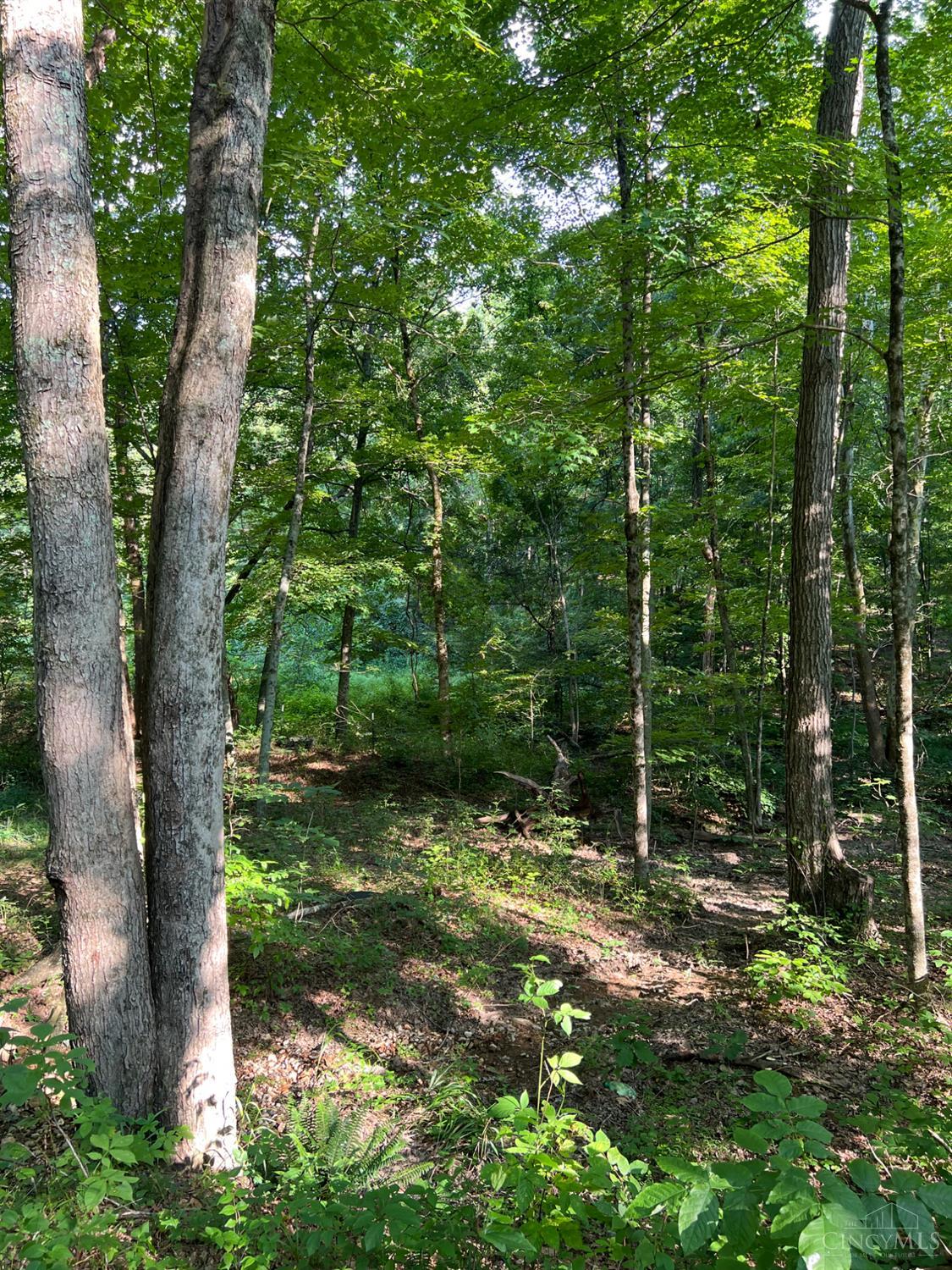 0 Tabernacle Road Chillicothe, OH 45601 - Photo 16 of 64