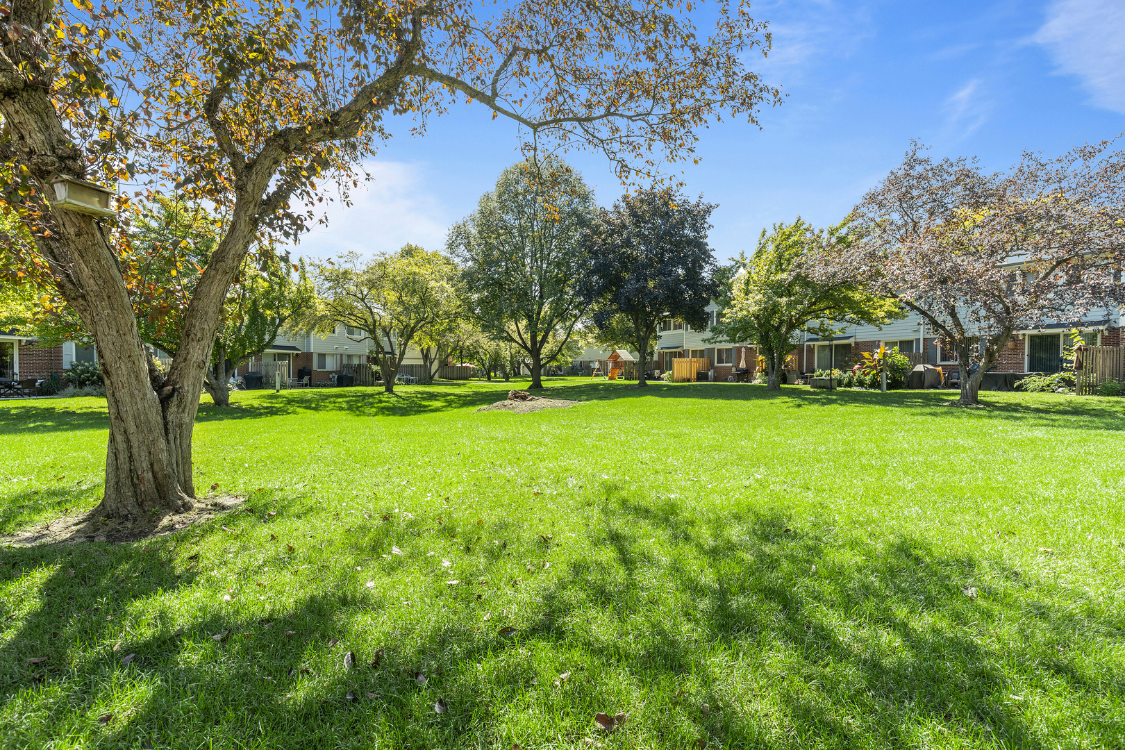 833 Swallow Street Deerfield, IL 60015 - Photo 29 of 37 a view of a park with large trees