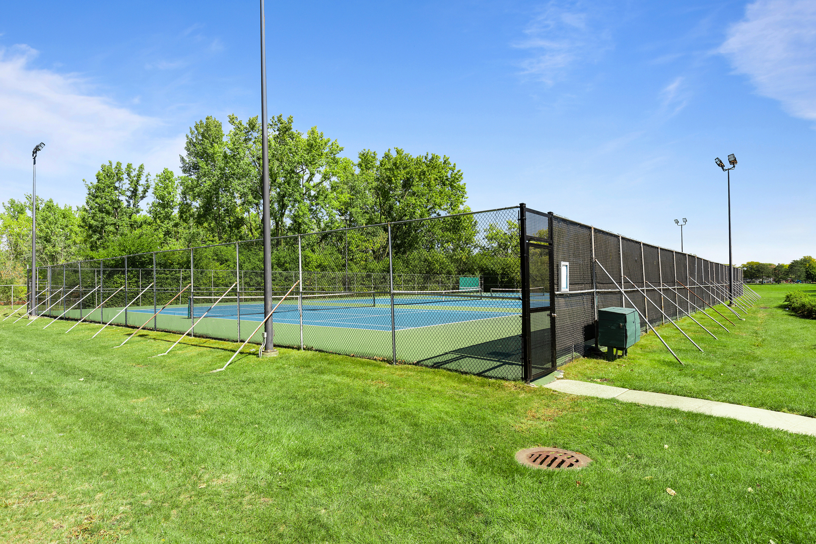 833 Swallow Street Deerfield, IL 60015 - Photo 31 of 37 a view of a backyard with of tiny play house