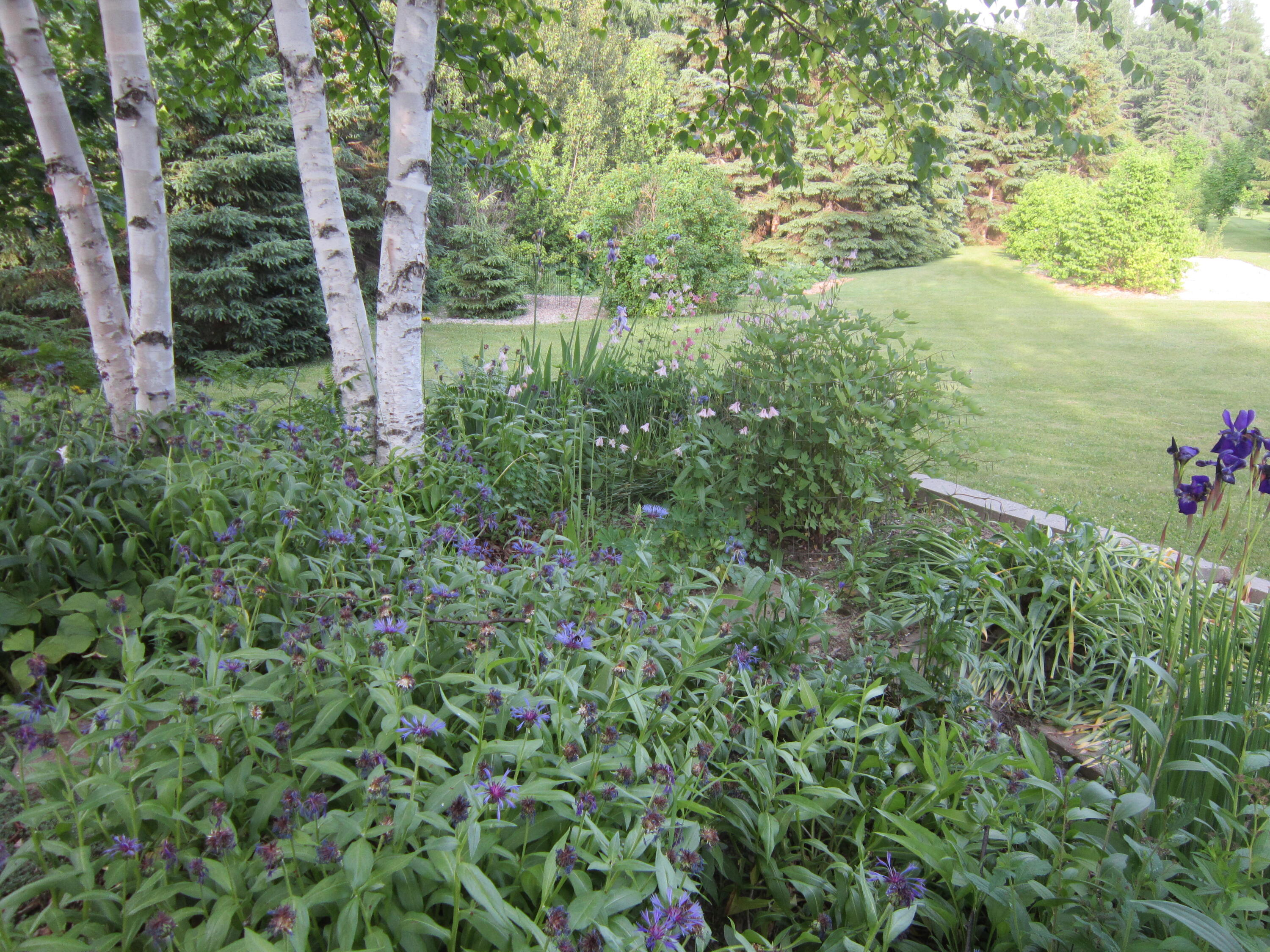 33 Rabbit Ridge Road Woodland, ME 04736 - Photo 76 of 86 IMG_3530
