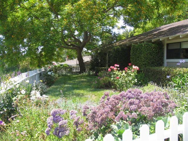 519 Fellowship Road Santa Barbara, CA 93109 - Photo 1 of 16 a view of a garden with flowers
