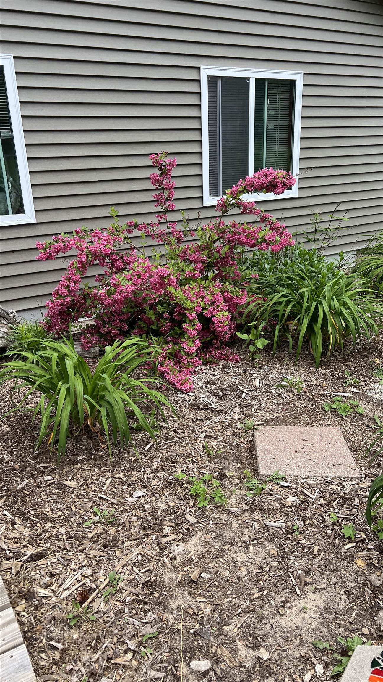 2589 Rushton Road Central Lake, MI 49622 - Photo 56 of 77 1933190-06b67074-746e-40ab-ac36-5635505ef43d.JPG