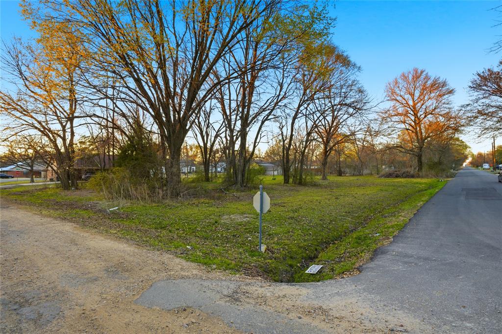 Tbd Southeast 1st Street Cooper, TX 75432 - Photo 8 of 10 a view of a park