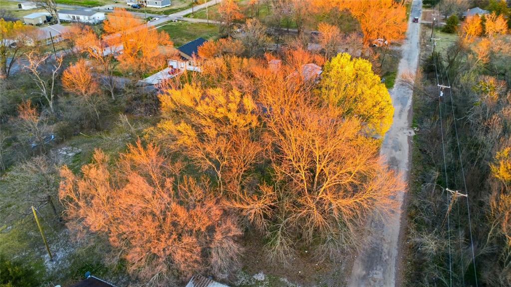 Tbd Southeast 1st Street Cooper, TX 75432 - Photo 10 of 10 a view of under tree