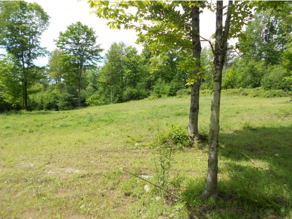 0 Dickey Road East Corinth, VT 05040 - Photo 2 of 12