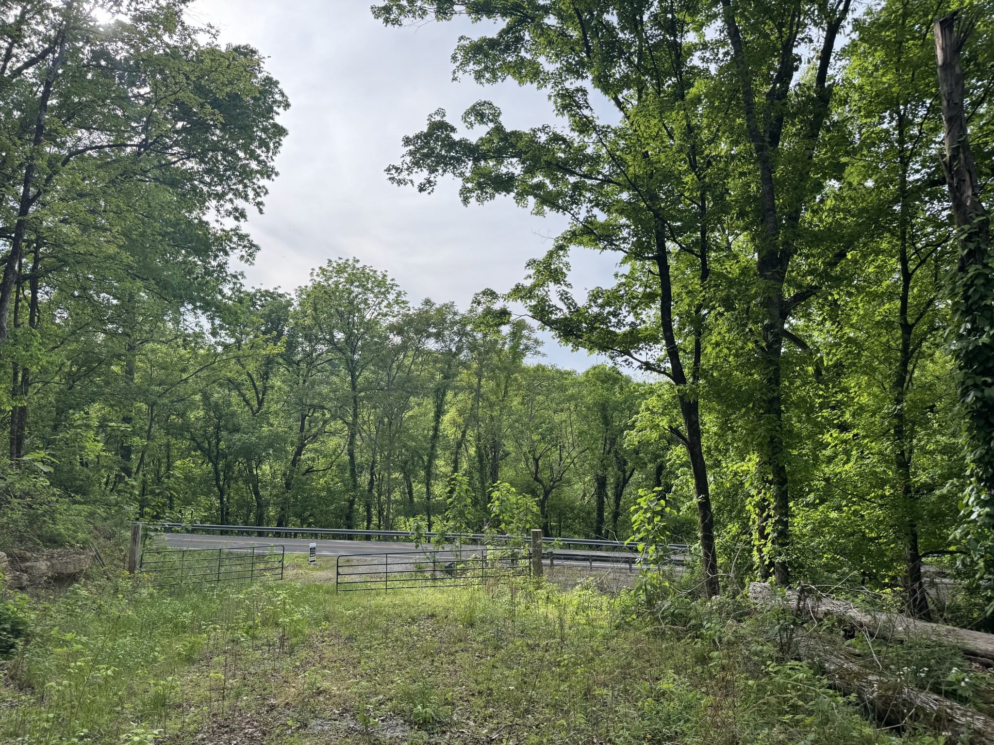 0 Bethel Road Prospect, TN 38477 - Photo 29 of 29 Gallery Image 29