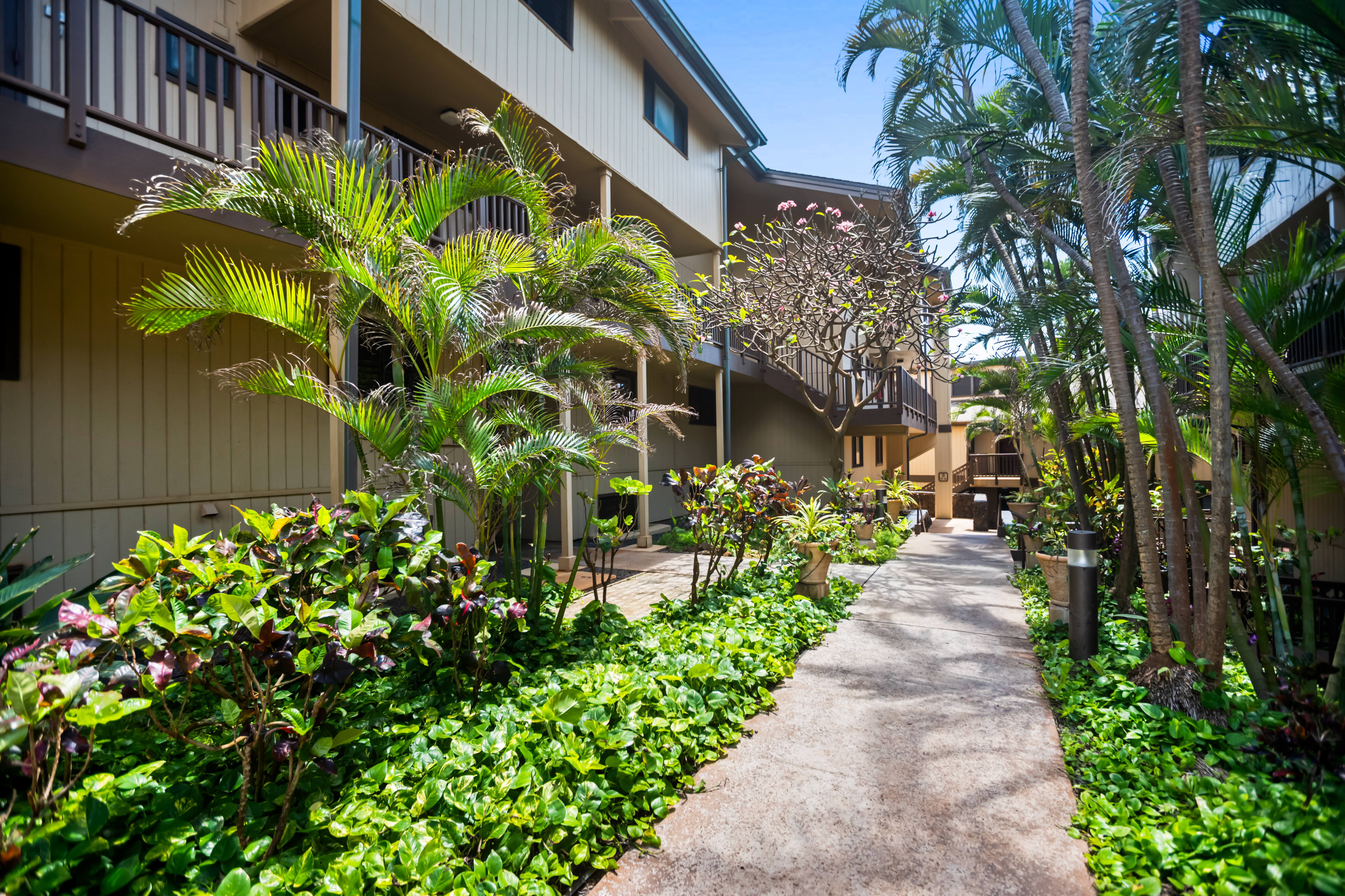 1661 Pee Road, Unit IIC204 Koloa, HI 96756 - Photo 18 of 25