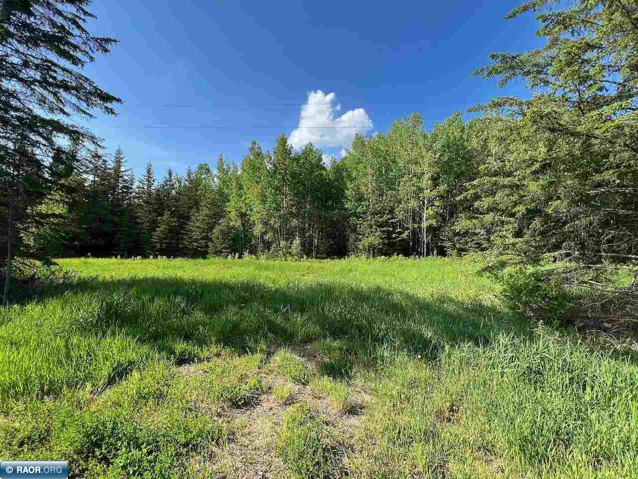 Tbd Willow River Road Orr, MN 55771 - Photo 7 of 15