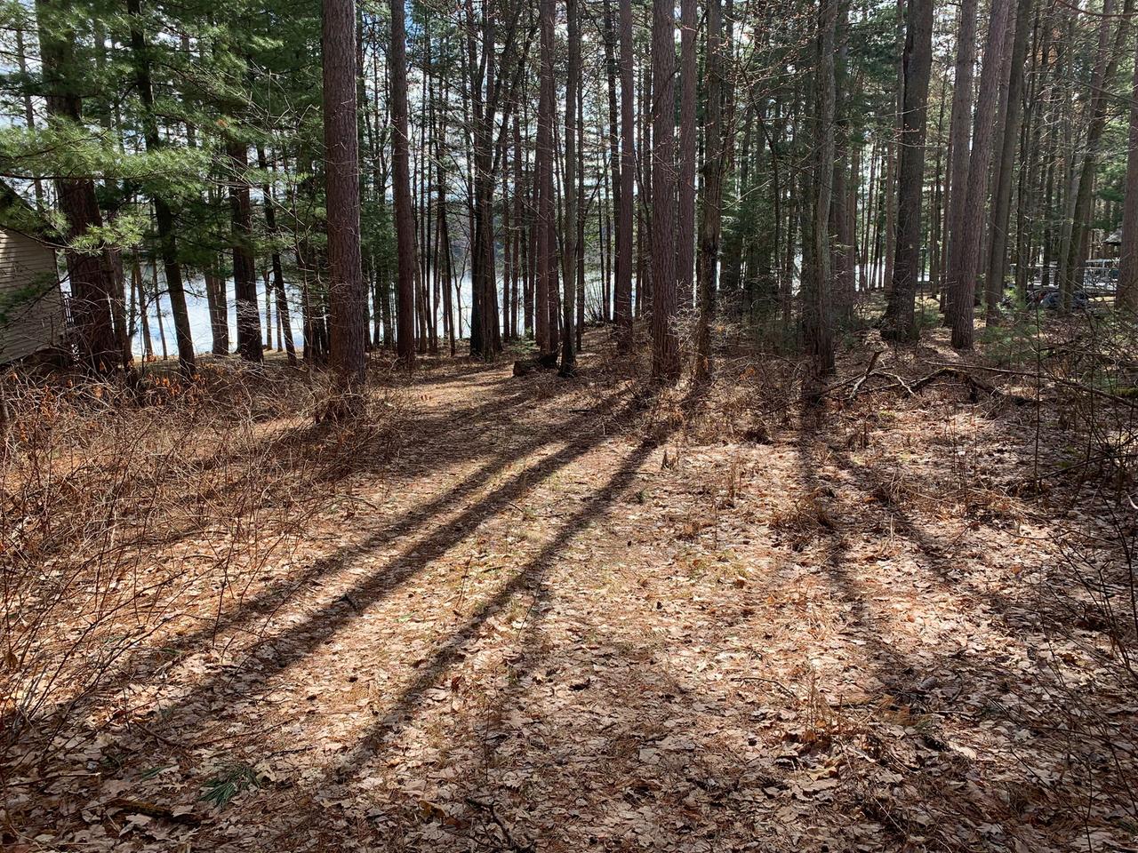 Lot 36 Deer Lake Road East Tomahawk, WI 54487 - Photo 4 of 8 Gallery Image 4
