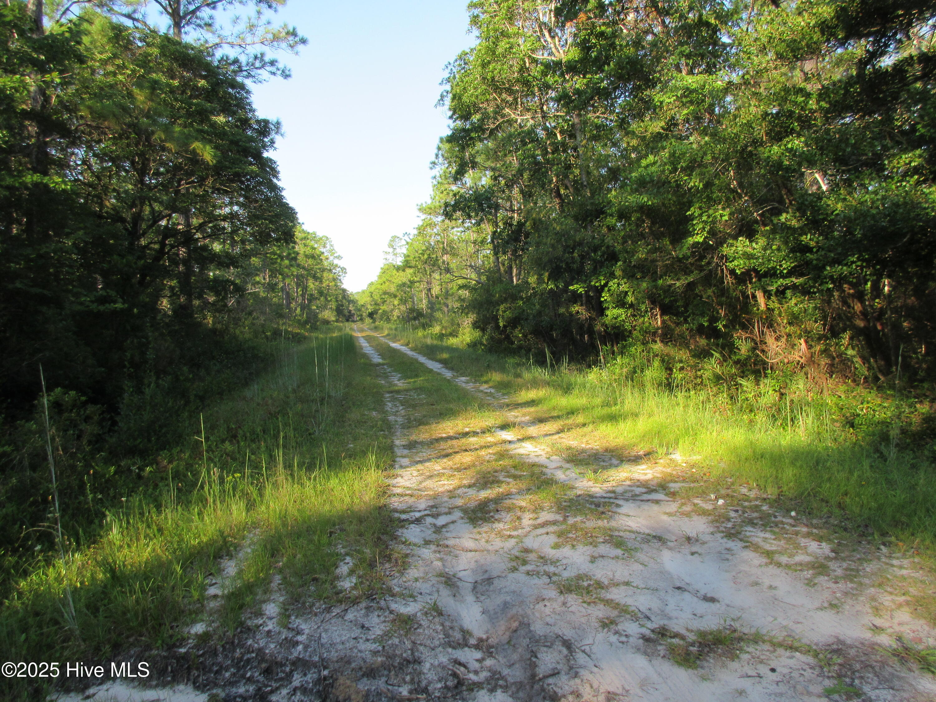 1300 Beech Road Southport, NC 28461 - Photo 1 of 5 IMG_3534