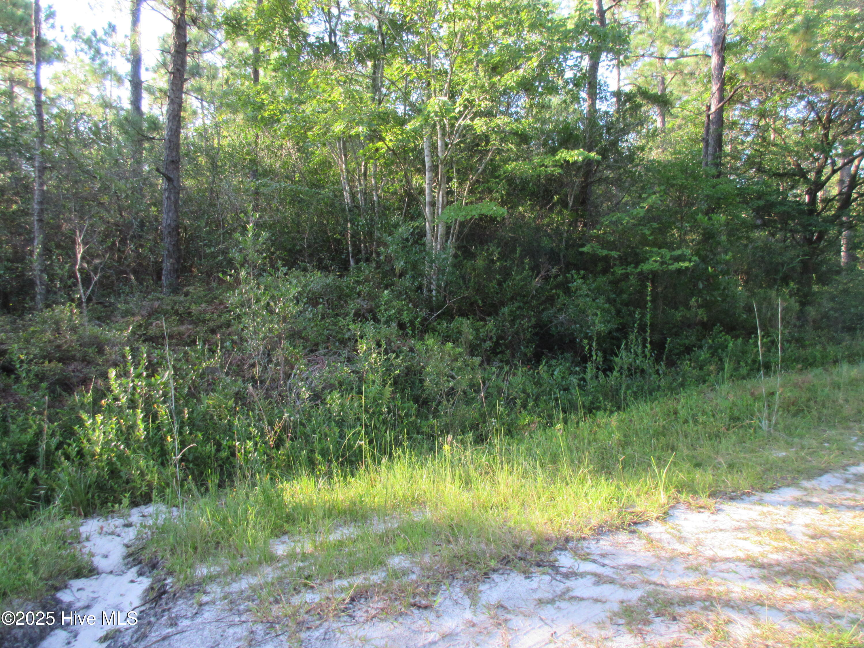 1300 Beech Road Southport, NC 28461 - Photo 2 of 5 IMG_3535