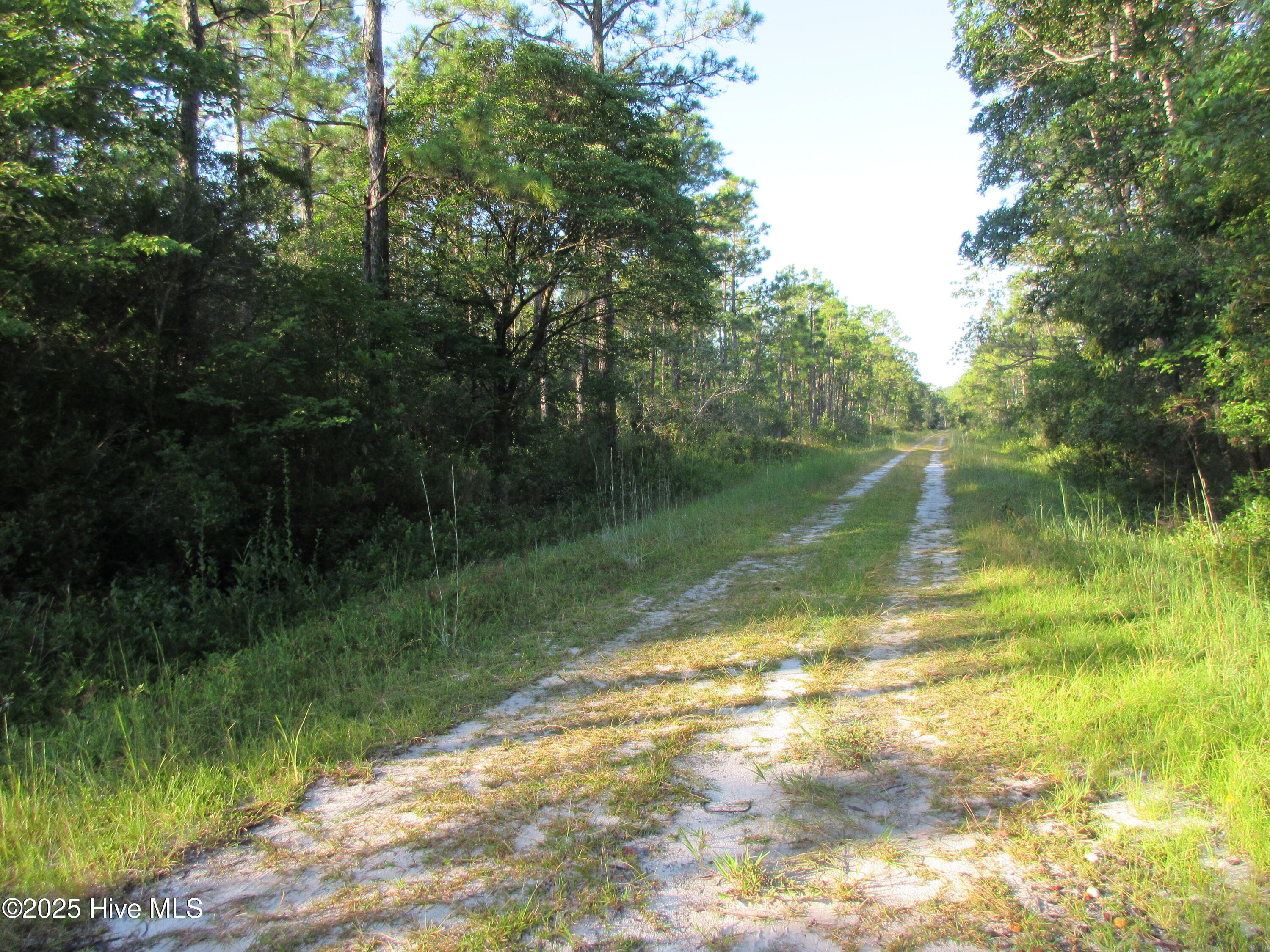 1300 Beech Road Southport, NC 28461 - Photo 4 of 5 IMG_3537