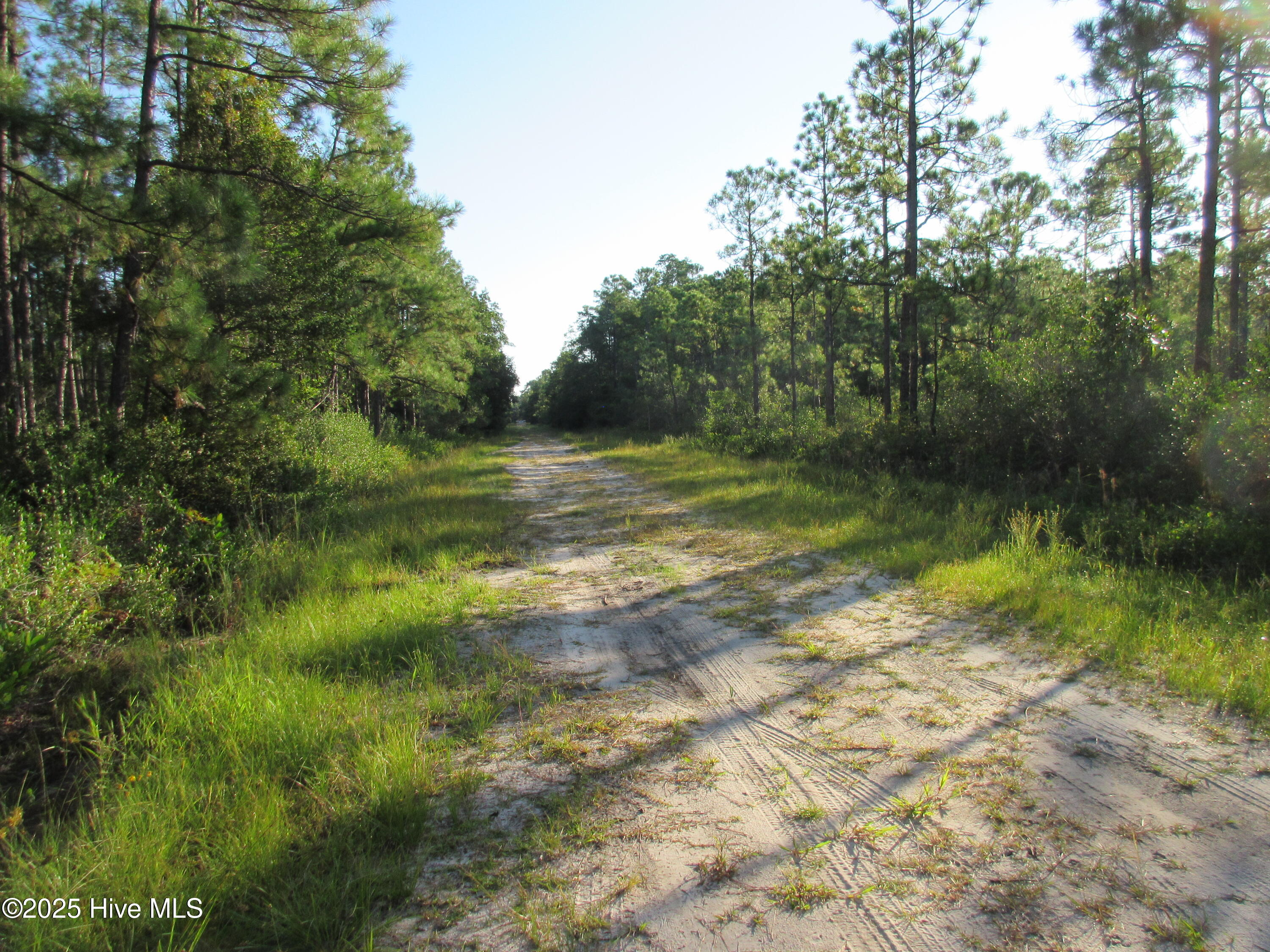 1300 Beech Road Southport, NC 28461 - Photo 5 of 5 IMG_3538