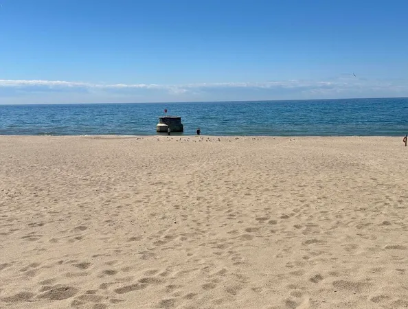 $595,000 | Vl-0 Baldwin Road, Bridgman, MI 49106